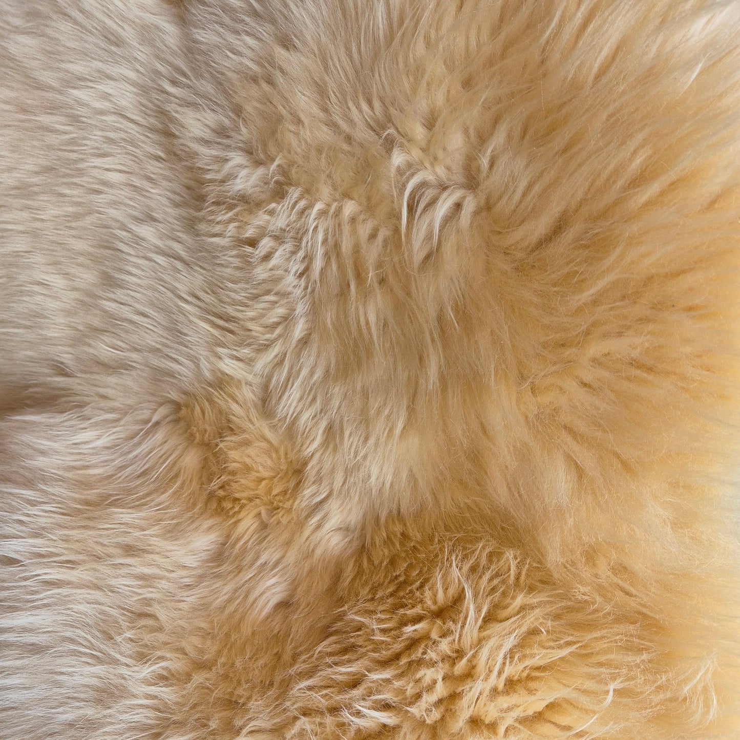 Barley coloured sheepskin, luxurious and cosy medium size 90cm