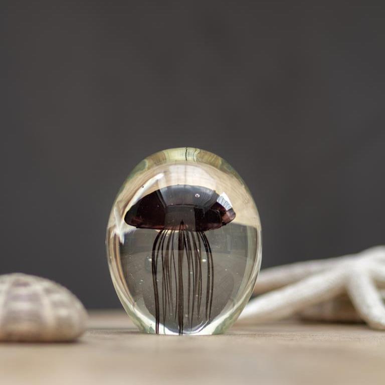 glass paperweight with jelly fish
