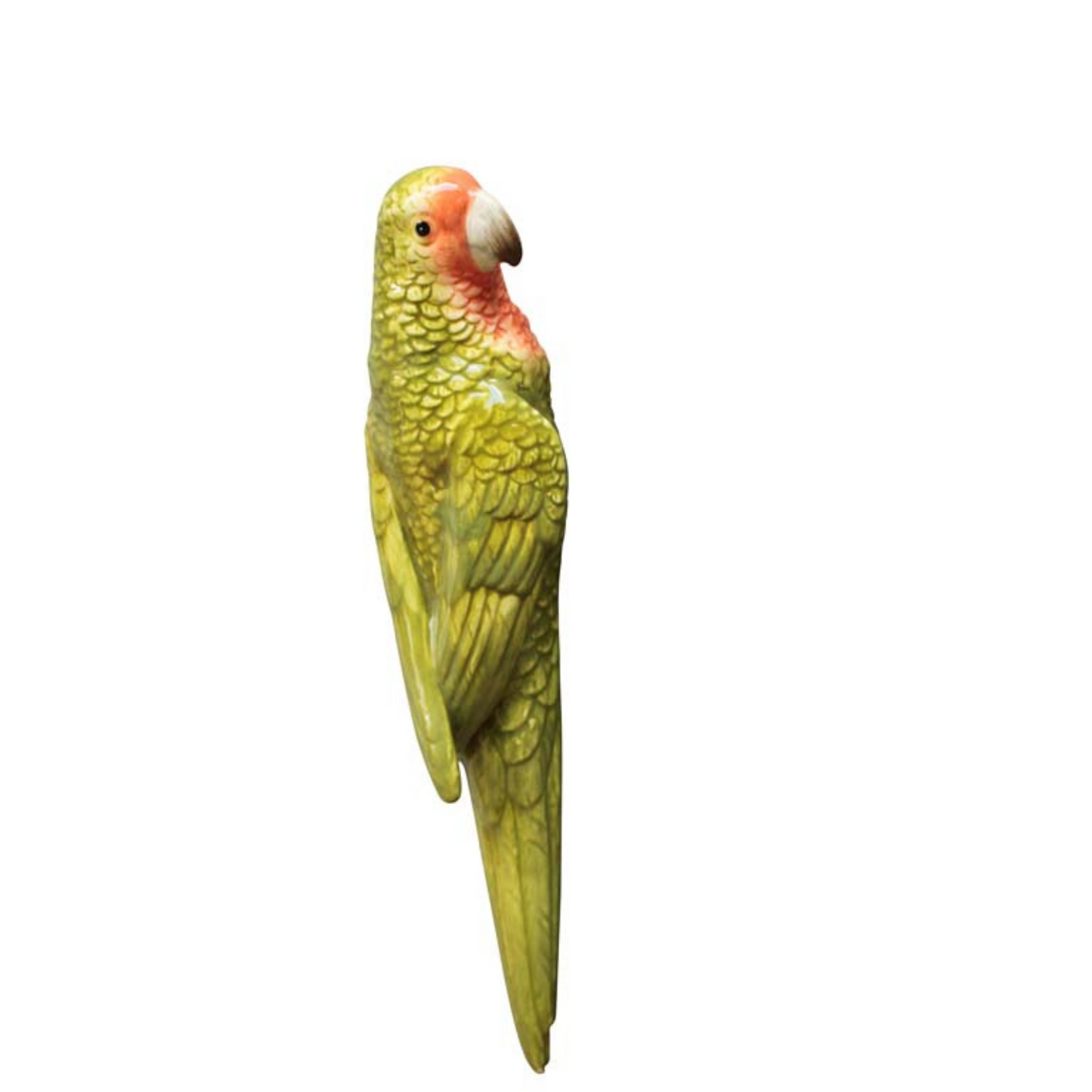 wall parrot ceramic decoration