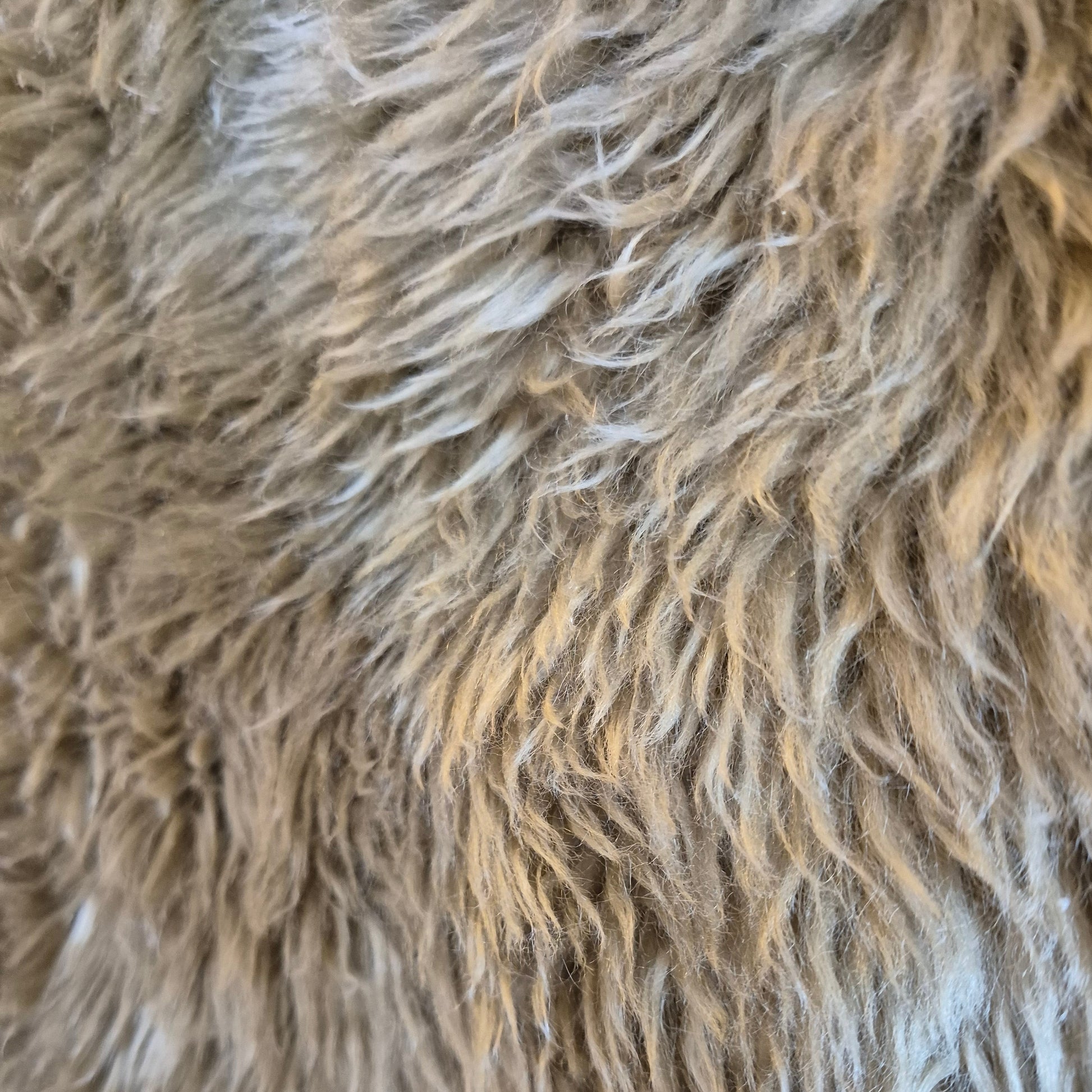 These sheepskins are short haired, curly and soft to the touch. Reminicent of childhood teddy bears.