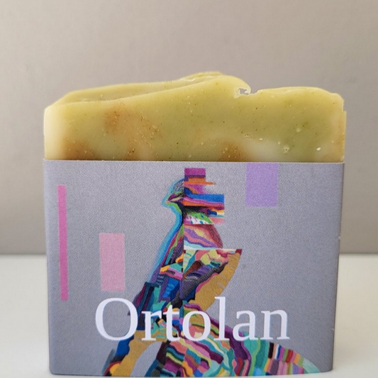 beyond the ferns soap collaboration with Rashers