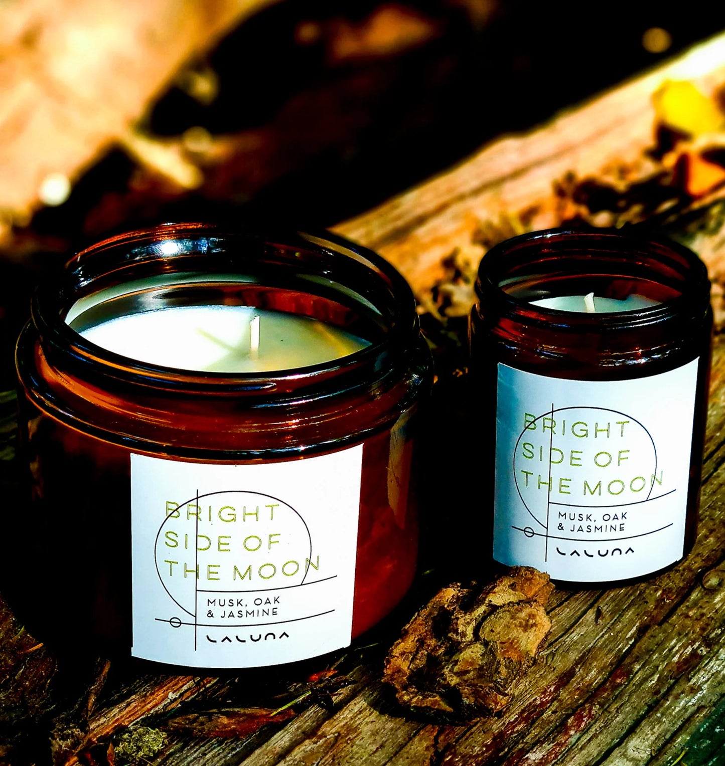 Candle Musk, Oak and Jasmine - Bright Side of the Moon - LaLuna Goodness (size medium)