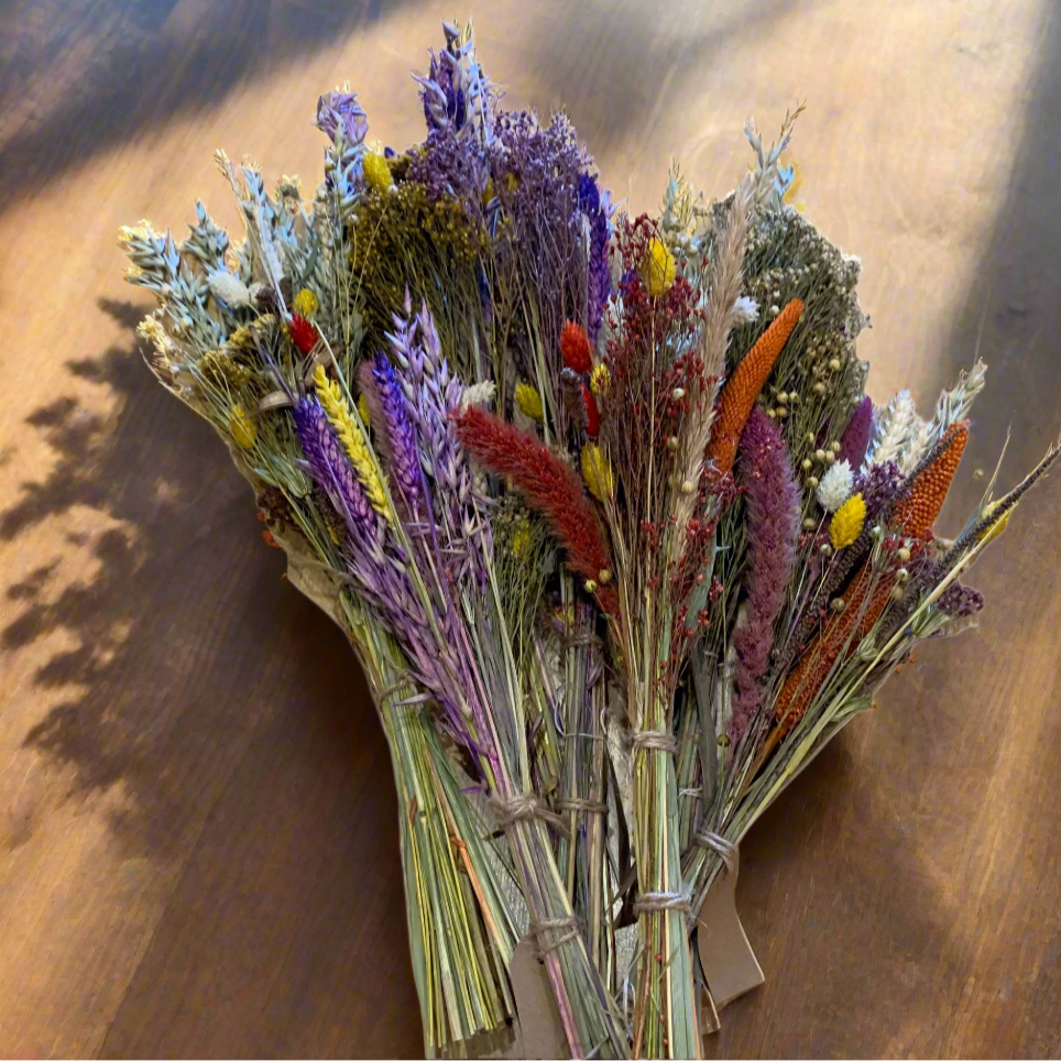 dried flowers by mia