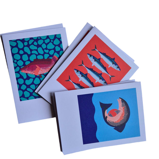 8 beautifully illustrated cards in a box by Irish woman owned company Pawpear