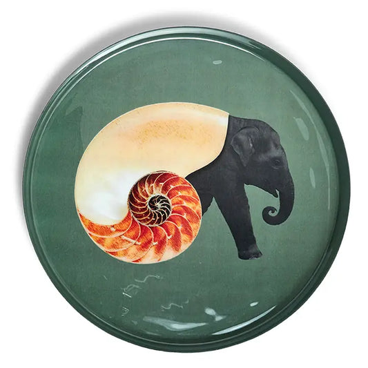 Round Decorative Tray - Shellephant