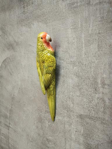 green parrot wall decoration