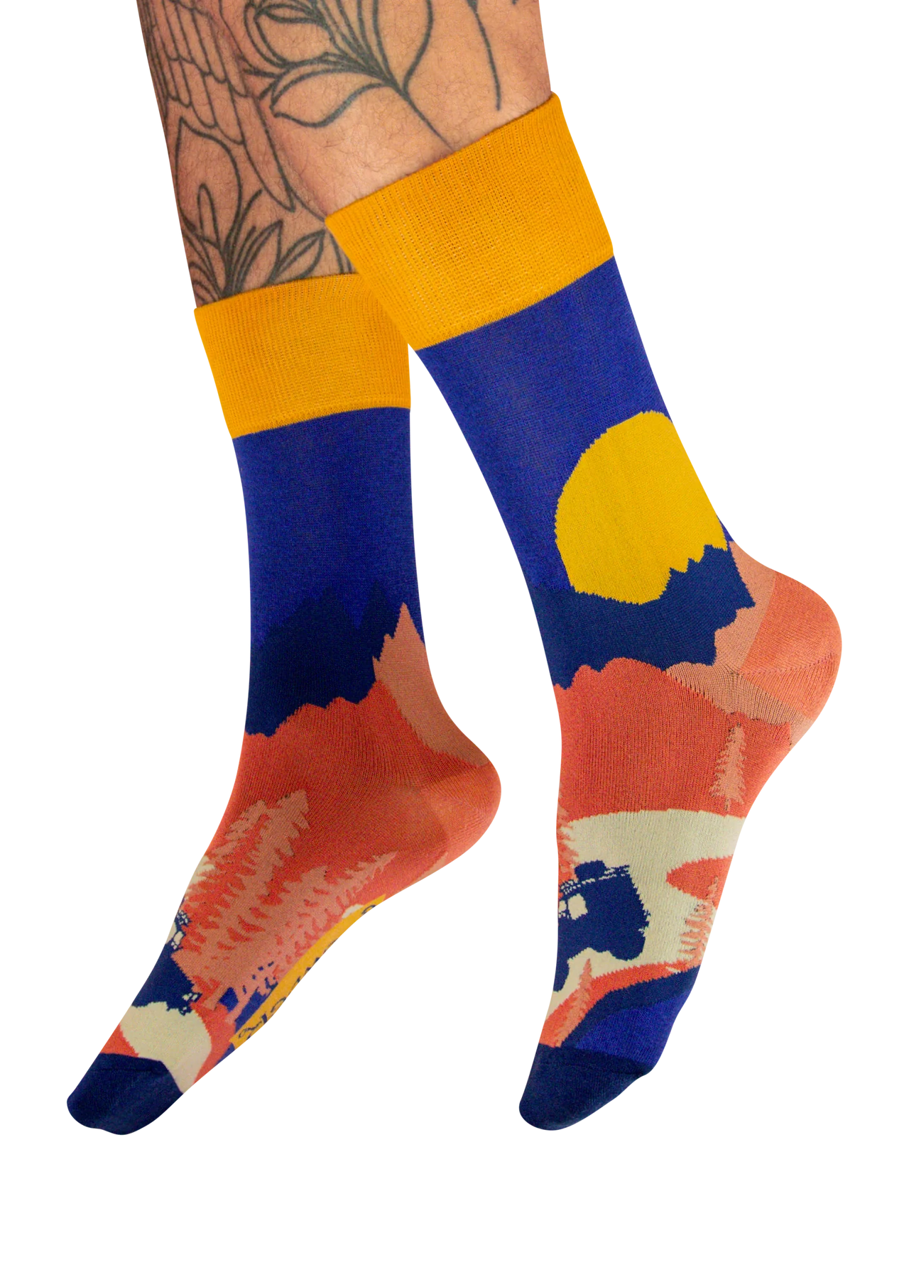 Winding Road Men's Socks
