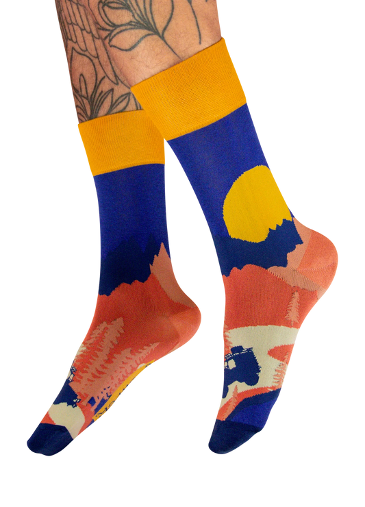 Winding Road Men's Socks